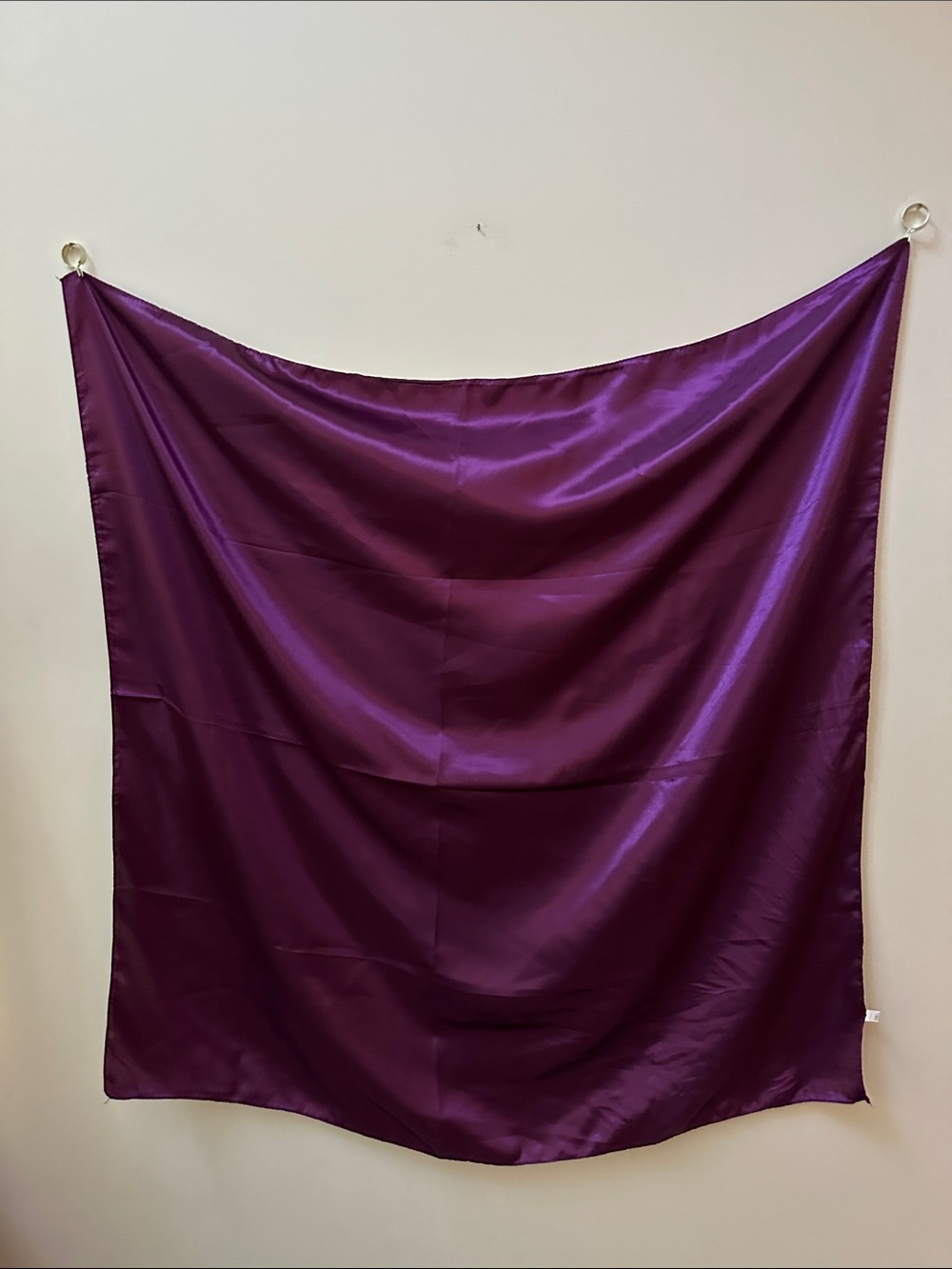 2/$20 Lux Satin Purple Women's Scarf